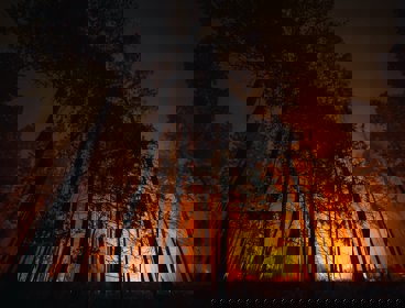 A wildfire at night