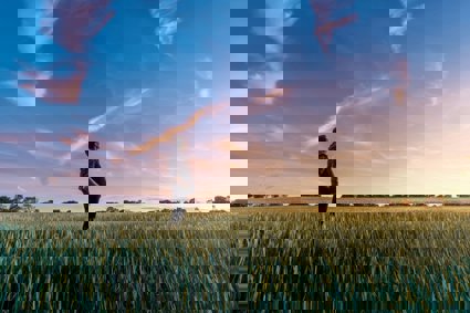 Man on grass field looking at the sky