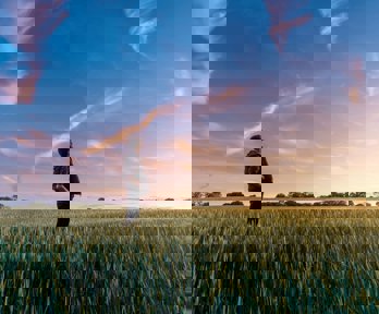 Man on grass field looking at the sky
