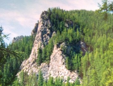 Mountain covered in pine trees.