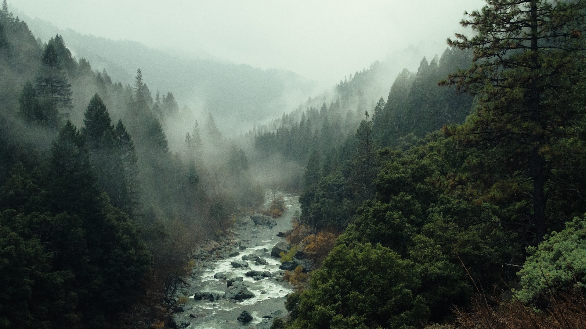 Geography in practice: assessing river condition for biodiversity net ...