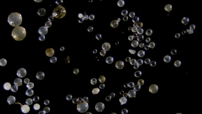 Microplastics on black background