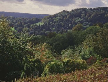 Wealden Edge Hangers Site Of Special Scientific landscape.