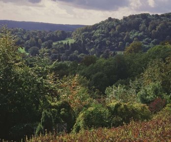 Wealden Edge Hangers Site Of Special Scientific landscape.