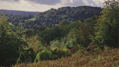 Wealden Edge Hangers Site Of Special Scientific landscape.