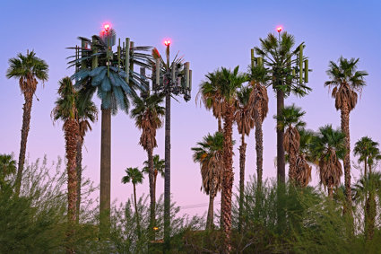 Electronic palm trees amongst palm trees in front of pink sky