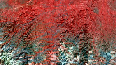 A digital heat map that shows mountains, rivers and elevation.