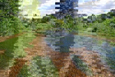 The River Chess