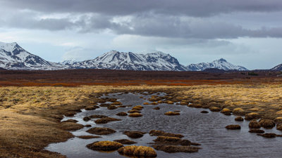 Tundra with snowy mountains in the distance.