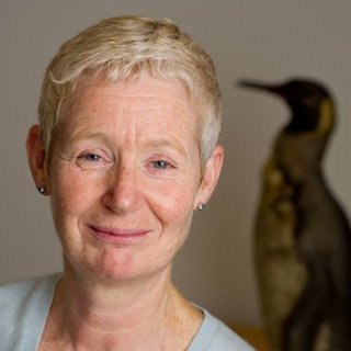 Headshot of person with short blonde hair.