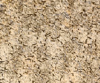 A close up of a cracked surface of dirt