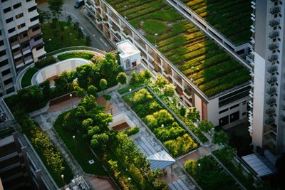 Built up apartments with urban green roofs