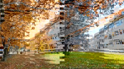 Large stately building fronted by green lawn and deciduous, golden and orange trees.