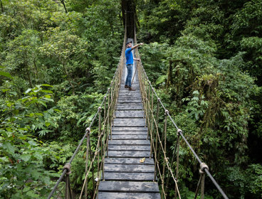 A person standing on a rope bridge in the jungle.