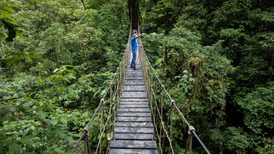 A person standing on a rope bridge in the jungle.