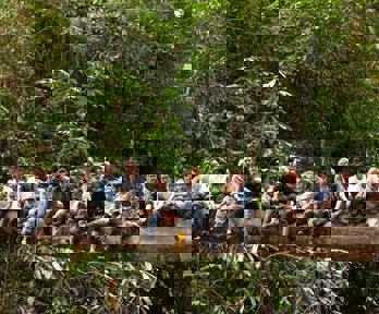 An expedition team sit on a fallen tree acting as a bridge across a tropical forest gorge in Borneo.