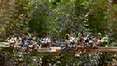 An expedition team sit on a fallen tree acting as a bridge across a tropical forest gorge in Borneo.