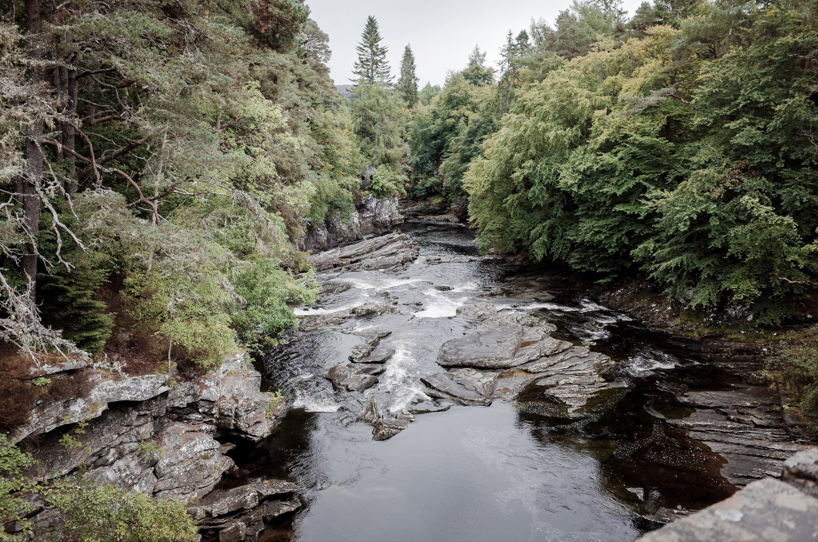 Protecting fish from high river temperatures under climate change | RGS