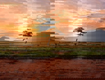 A view over the Savanna