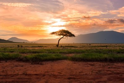 A view over the Savanna