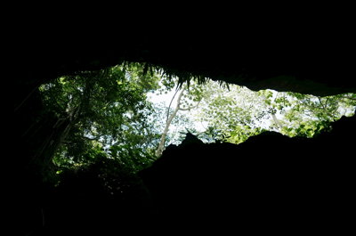Cave opening with forest view