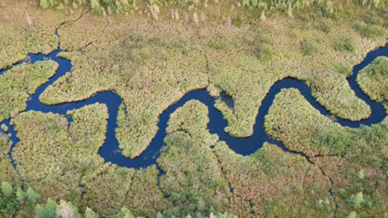 Aerial view of a river meandering through a forest.