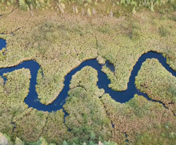 Aerial view of a river meandering through a forest.