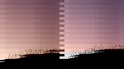 A sillouette of wind farm turbines on a slope with a purple sky
