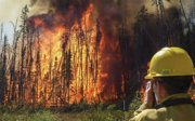 A researcher observing an experimental wildfire.