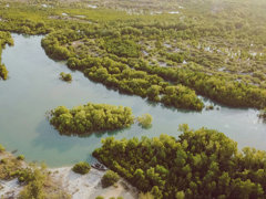 Aerial view of green spaces and meandering river.