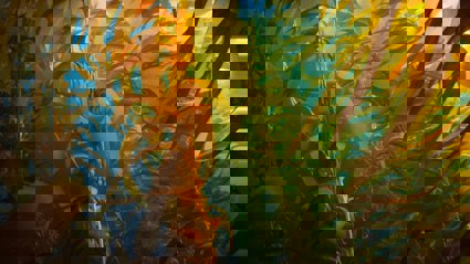 Seaweed