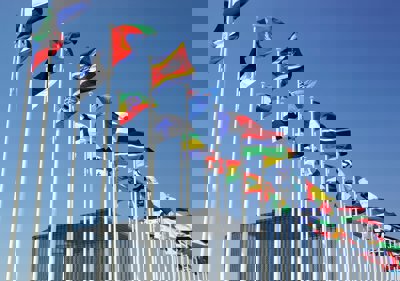 A bunch of flags flying in the wind