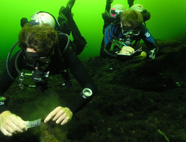 Two SCUBA divers taking samples and making notes underwater.
