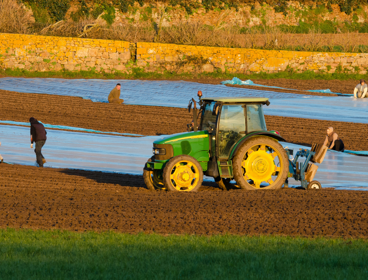 People working in a plowed field with tractor