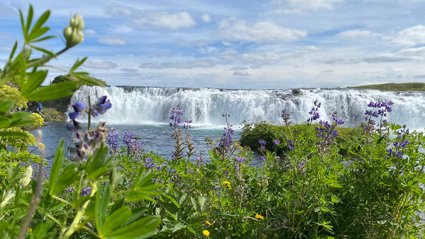 Waterfall surrounded by tropical plants.