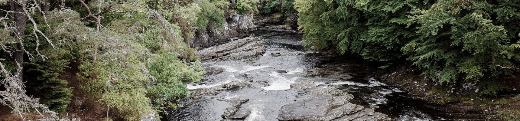 Protecting fish from high river temperatures under climate change | RGS