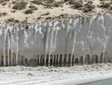 Eroded white limestone cliffs with vertical grooves and sparse vegetation on top beside a calm shoreline.