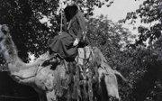 A black and white photograph of a person with their face covered sits on a camel.
