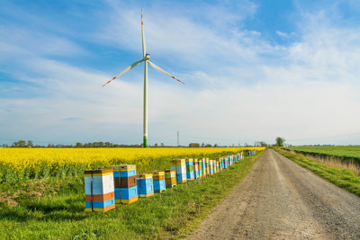 Windmill in a green field