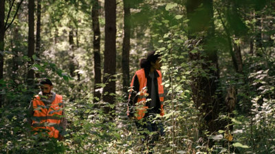Two people wearing orange high visability vests walking through woodland.