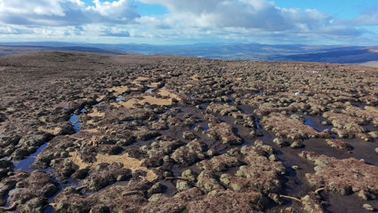 Drone image of a restored bog, viewed from above