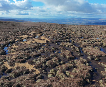 Drone image of a restored bog, viewed from above