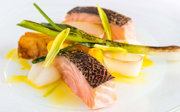 Two seared salmon fillets with charred spring onion and yellow sauce on a white plate.