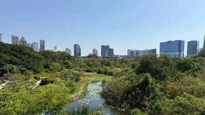 Urban skyline with wetland foreground.