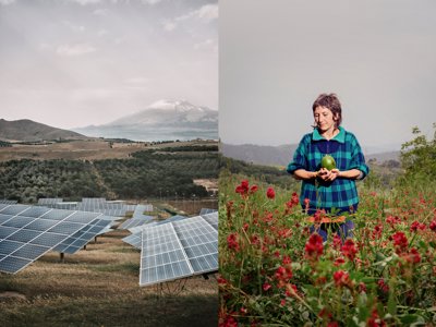 A field with solar panels and a woman standing in a field of flowers. 