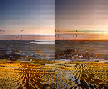 Crop field with windmills in the distance