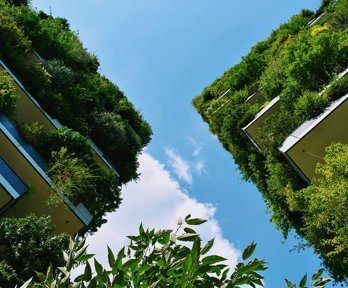 Low angle shot of two buildings with plants growing from them.