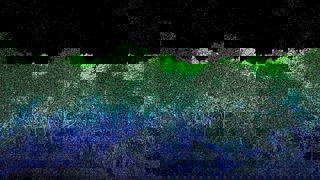 A digital image of a LiDAR scan showing a free canopy in gradients of dark blue and green.